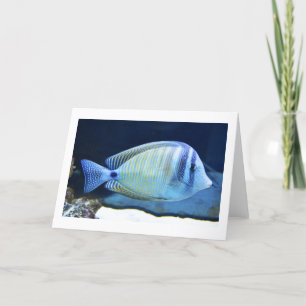 Tropical fish holiday card
