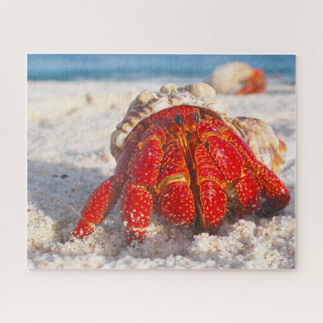 Tropical Fish Jigsaw Puzzle (Horizontal)