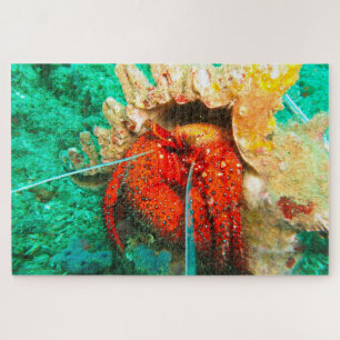 Tropical Fish Jigsaw Puzzle