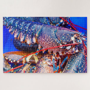 Tropical Fish Jigsaw Puzzle