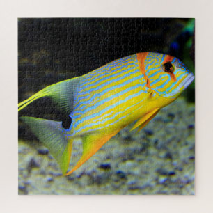 Tropical Fish Jigsaw Puzzle