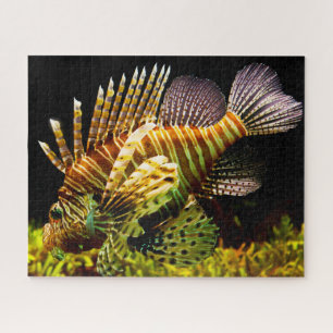 Tropical Fish Jigsaw Puzzle
