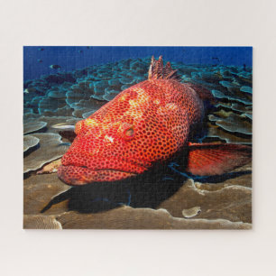 Tropical Fish Jigsaw Puzzle