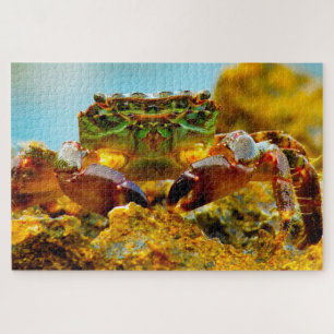 Tropical Fish Jigsaw Puzzle