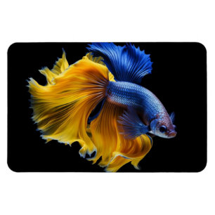 Tropical Fish  Magnet