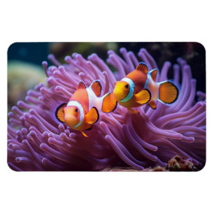 Tropical Fish  Magnet