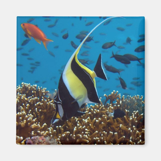 Tropical Fish  Magnet (Front)