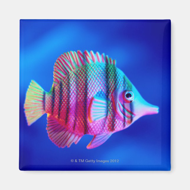 Tropical Fish Magnet (Front)