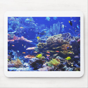 Tropical Fish Mouse Pad