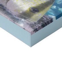 Tropical fish on faux canvas