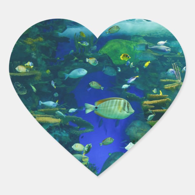 Tropical fish Stickers (Front)