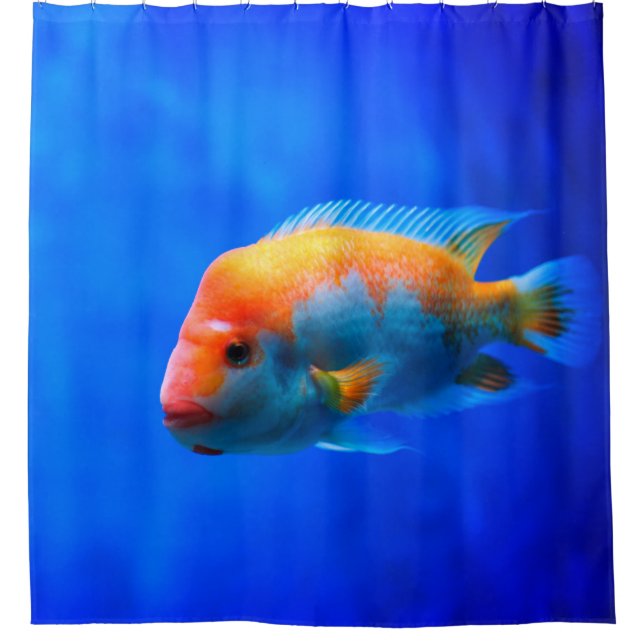 Tropical Fish Striking Blue Underwater Portrait Shower Curtain (Front)