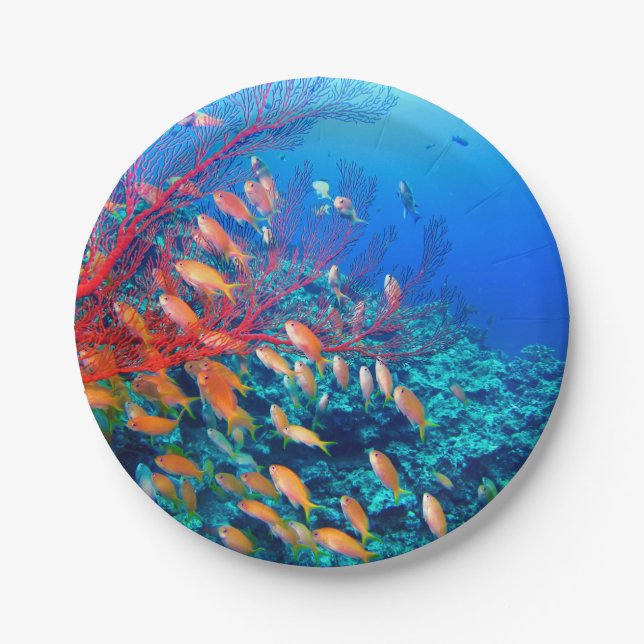 Tropical Fish Undersea Coral Reef Paper Plate (Front)