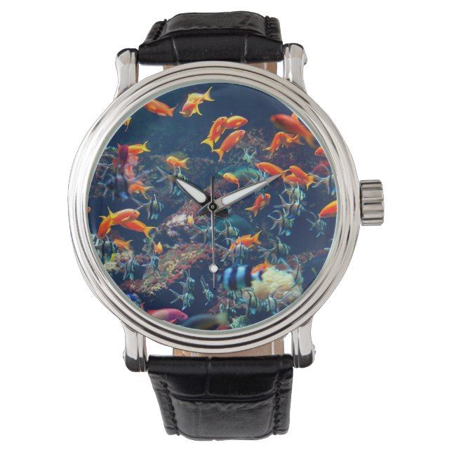 Tropical Fish Watch (Front)