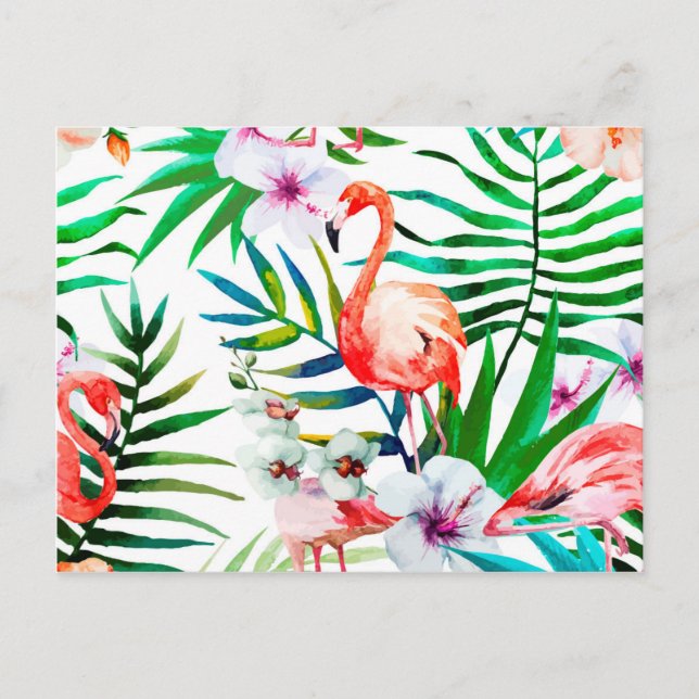 Tropical flamingo art postcard (Front)