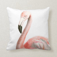 Tropical Flamingo Bird