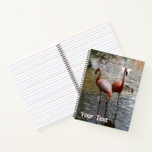 Tropical Flamingo Birds Cust. Text Notebook