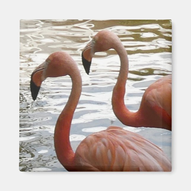 Tropical Flamingo Birds Magnet (Front)