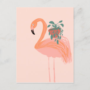 Tropical Flamingo with Potted Plant Hand Drawn    Postcard