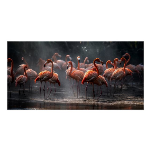Tropical Flamingos Poster (Front)