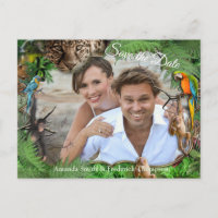 Tropical Flora Paradise & Birds