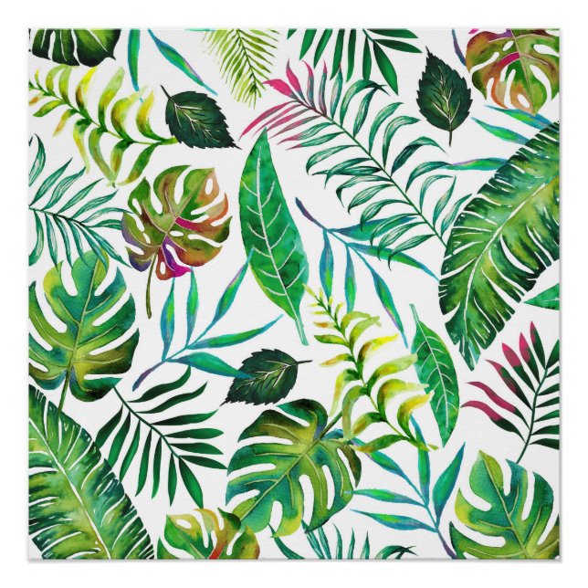 Tropical Flora Poster (Front)