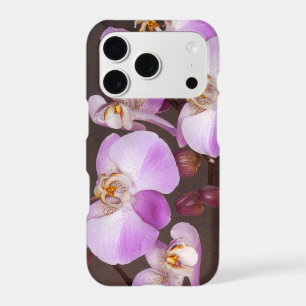 Tropical Floral Purple and White Orchids Photo