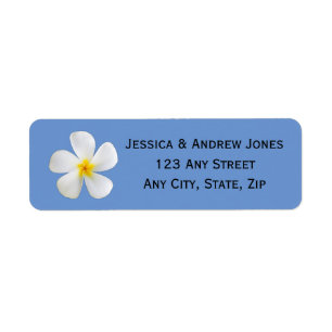 Tropical Floral, White Plumeria on Blue, Wedding