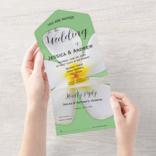 Tropical Floral, White Plumeria on Sage, Wedding All In One Invitation