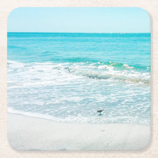Tropical Florida Beach Sand Ocean Waves Sandpiper Square Paper Coaster