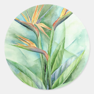 Tropical Flower Bird Of Paradise Painting - Multi Classic Round Sticker
