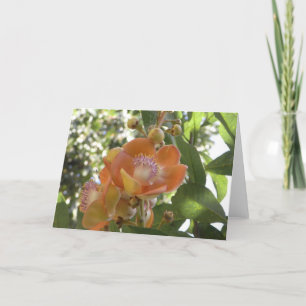 Tropical flower - Blank Card
