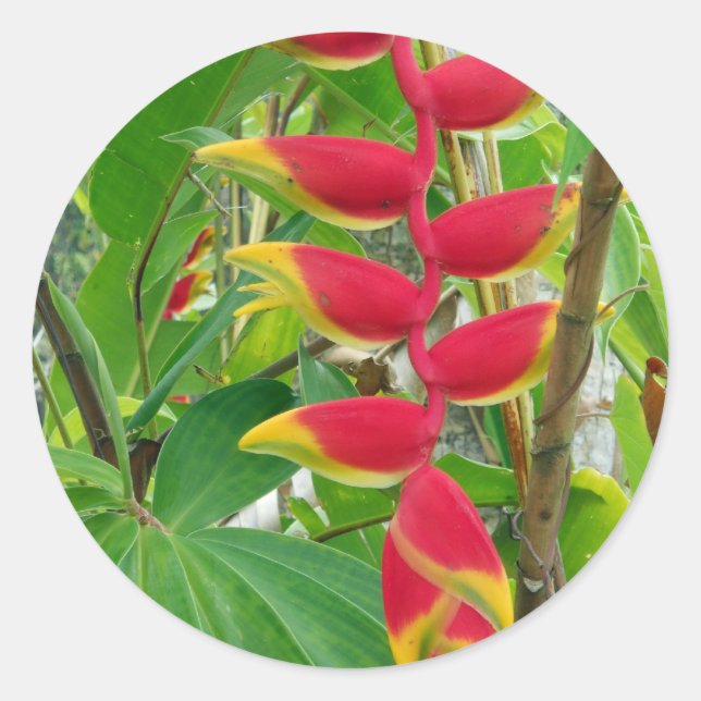 Tropical flower classic round sticker (Front)
