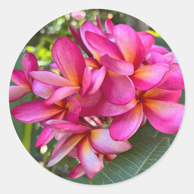 Tropical Flower Sticker (Front)