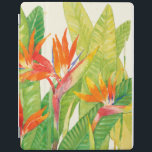 Tropical Flowers | Bird of Paradise iPad Cover<br><div class="desc">Watercolor Tropical Flowers 2 Artist: Tim OToole</div>