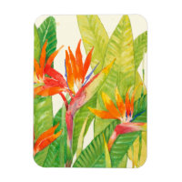Tropical Flowers | Bird of Paradise