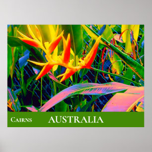 Tropical flowers heliconia Queensland Australia Poster