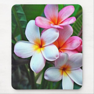 Tropical flowers mouse pad