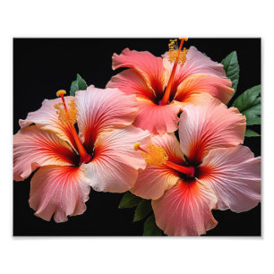 Tropical Flowers Photo Print