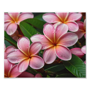 Tropical Flowers Photo Print