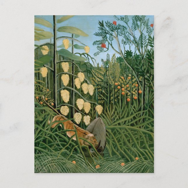 Tropical Forest, Henri Rousseau Postcard (Front)
