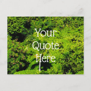 Tropical Forest Postcard