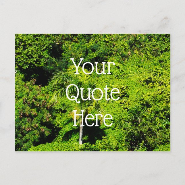 Tropical Forest Postcard (Front)