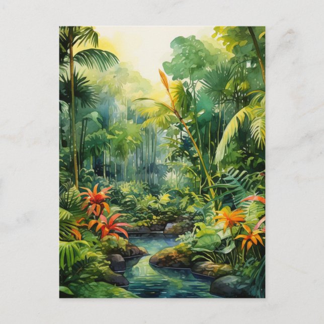 Tropical Forest Postcard (Front)