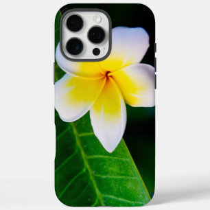Tropical Frangipani Botanical Photo iPhone 16 Pro Max Case