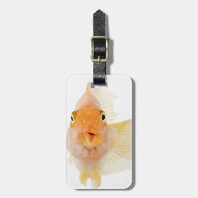 Tropical freshwater fish luggage tag (Front Vertical)