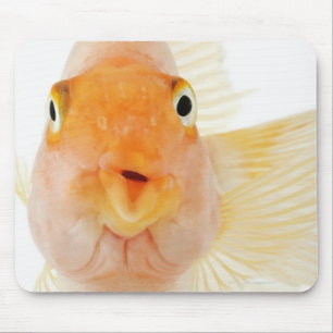Tropical freshwater fish mouse pad