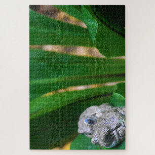 Tropical Frogs. Jigsaw Puzzle