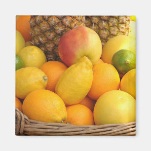 Tropical fruits in a basket magnet