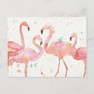 Tropical   Gathering of Flamingos Postcard